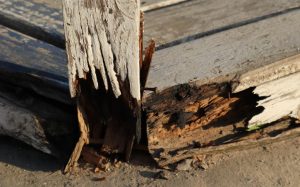 Look out for wood rot