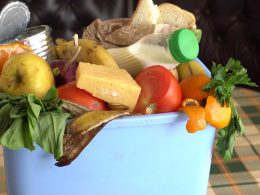 5 Ways you Can Recycle Food as a Business