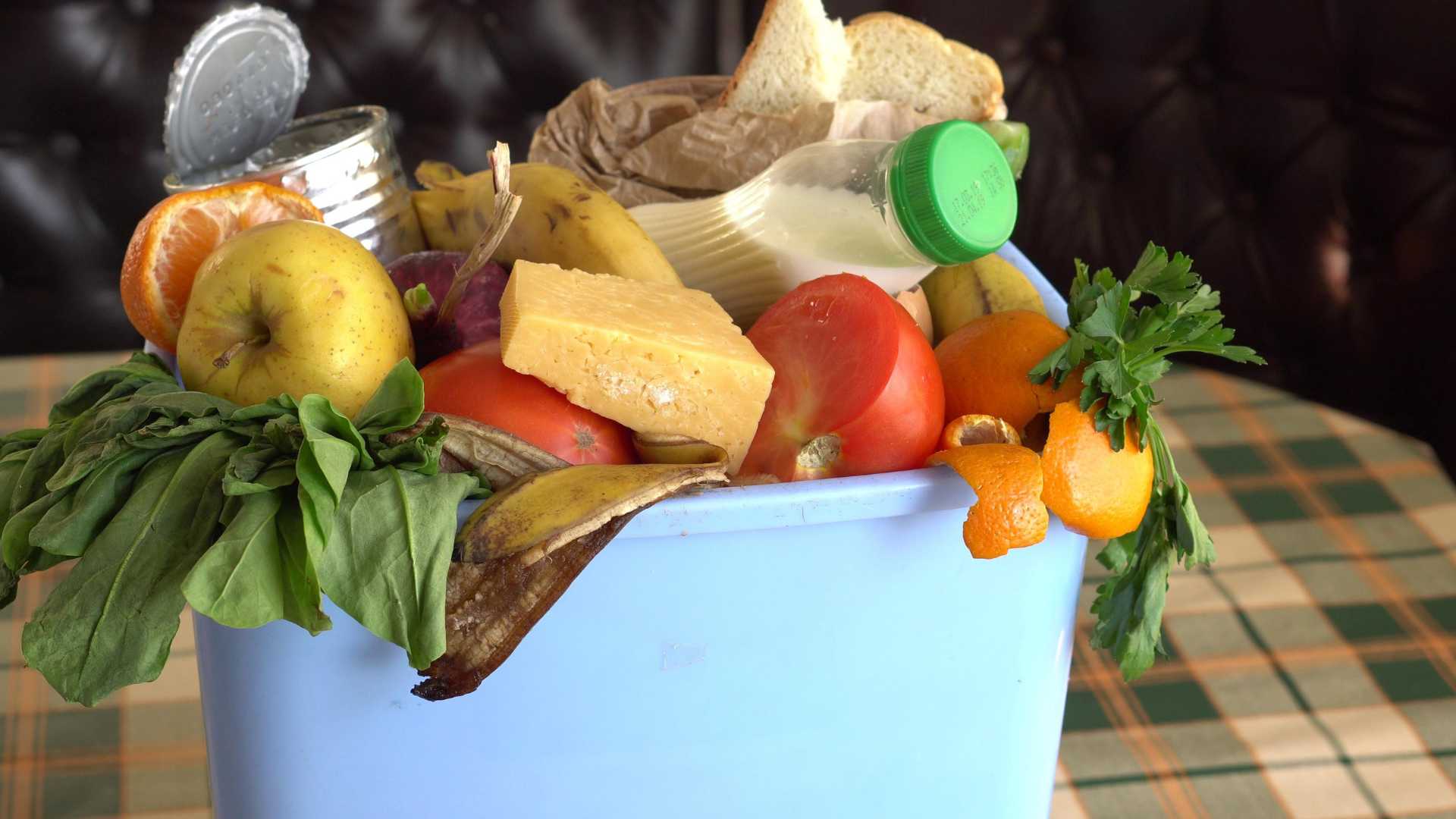 5 Ways you Can Recycle Food as a Business London Local News