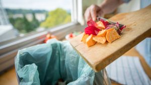 Recycle Food Waste in Your Own Kitchen