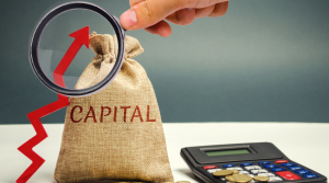 Components of Capital Employed