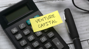 How Does a Venture Capital Work