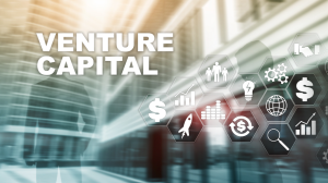 Types of Venture Capital