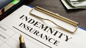 What is Indemnity Insurance