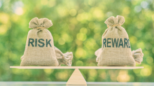 Risks and Rewards of Long Term Investment in Dividend Stocks