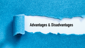 Advantages and Disadvantages of Small Business Loans