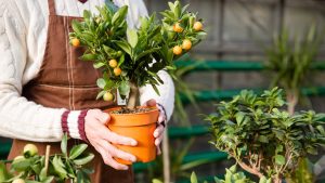 How to Grow Your Gardening Business