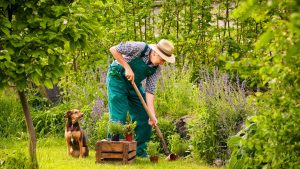 Role and Responsibilities in a Gardening Business