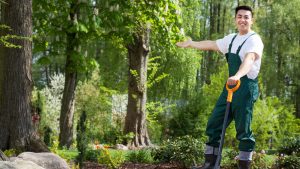 What Should you Include in a Gardening Business plan