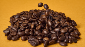 Financing Your Coffee Roasting Business in the UK
