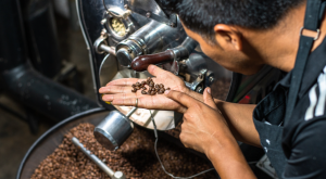 Is a Coffee Roasting Business Right for You