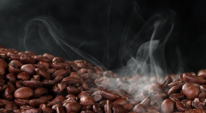 Key Components of a Coffee Roasting Business Plan