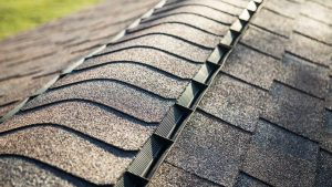 Why Opt for a Dry Ridge System on Your Roof